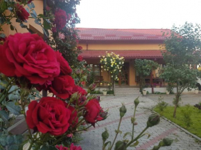 Mill House Cluj-Napoca